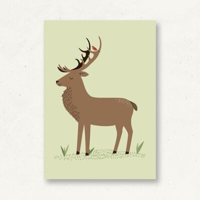 Carte postale animaux de la forêt cerf