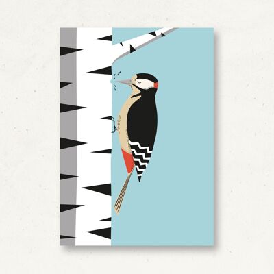 Postcard forest animals woodpecker