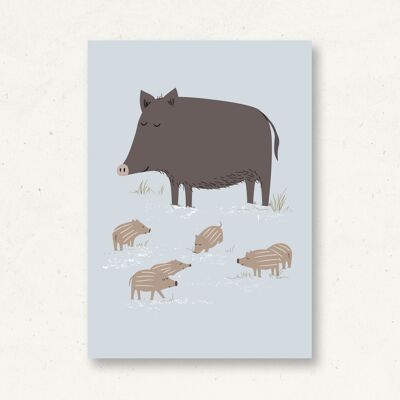 Postcard forest animals wild boar