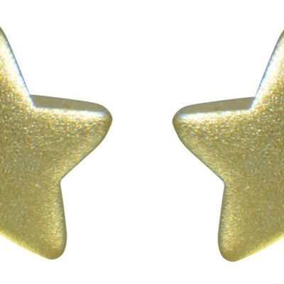 Ohrstecker Stern mattiert vergoldet 925 Silber