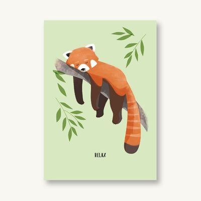 Postal Relax - Panda rojo