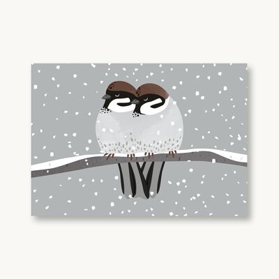 Postcard tree sparrow
