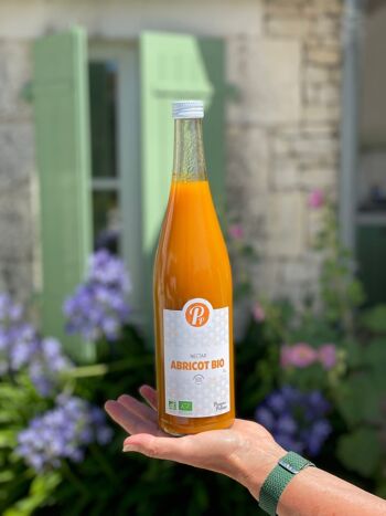 Nectar d'Abricot Bio - 73cl 2