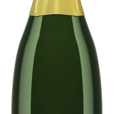Spumante Riesling Brut Nature 2016