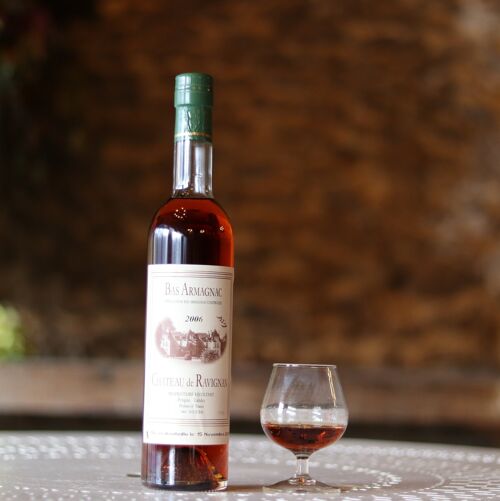 Bas Armagnac 2009 - 50cl