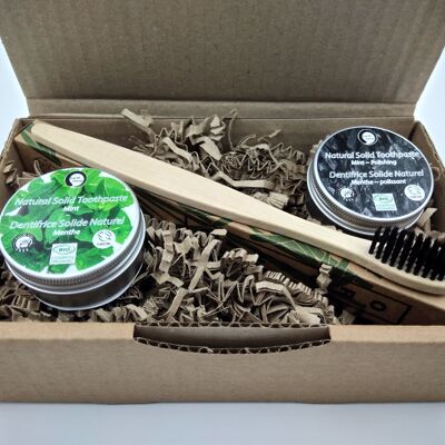 Natural Organic Solid Toothpaste Gift Set - 10 pieces BUNDLE