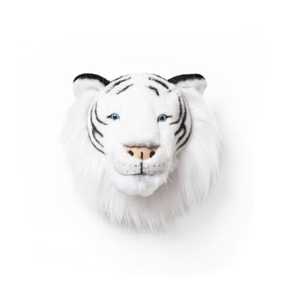 Albert the white tiger