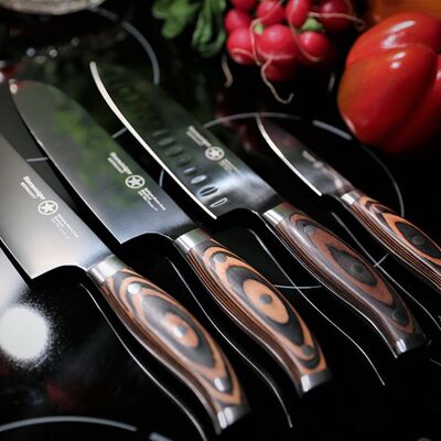 Sternsteiger Titanium Series /Full Set of 4 knifes / Komplettsatz/ Titan Kochmesser Set