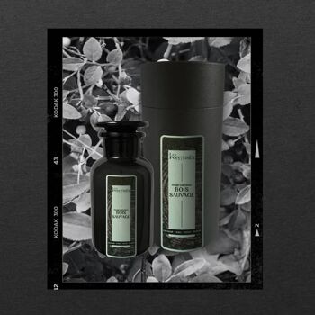 Bougie parfumée Apothecary Apothicaire | Bois Sauvage |  250g 7