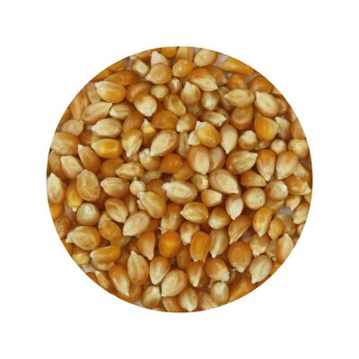 Maïs popcorn bio Sac 10kg