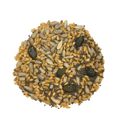 Mix per insalata bio Busta 10kg