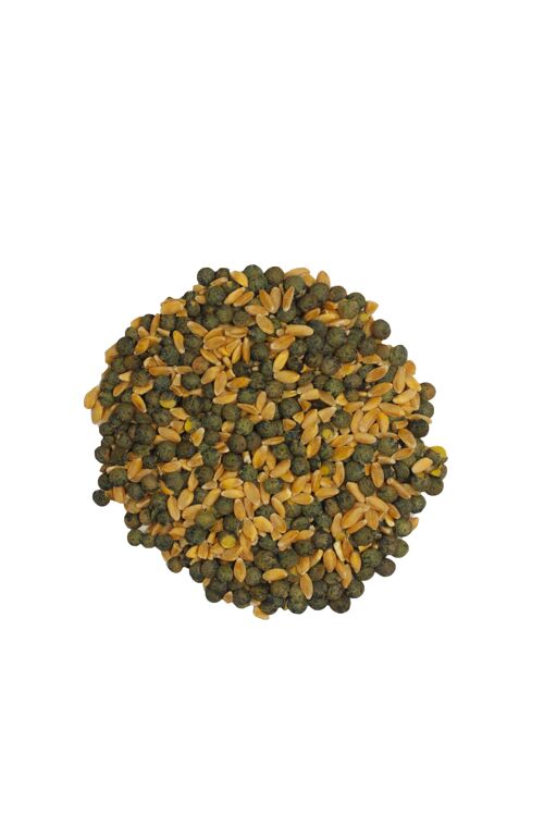 Petit épeautre décortiqué - Lentilles vertes bio Sac 10kg