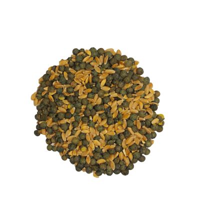 Farro decorticato piccolo - Lenticchie verdi bio Sacco da 5kg