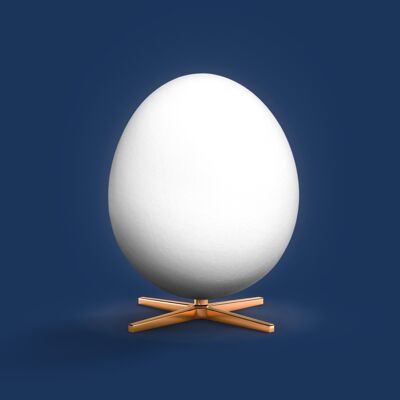 Ægget plakat – Mørkeblå baggrund – Klassisk - 50x70 CM.