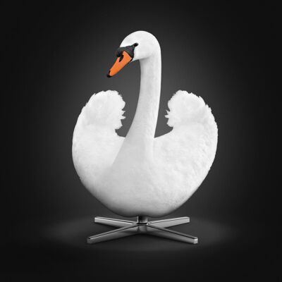 Svanen plakat – Hvid svane – Ordenar baggrund – Klassisk - 50x70 CM.