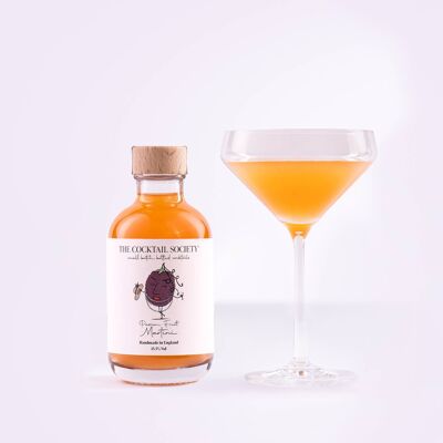 Martini aux fruits de la passion - Cocktail prêt à boire (200 ml)