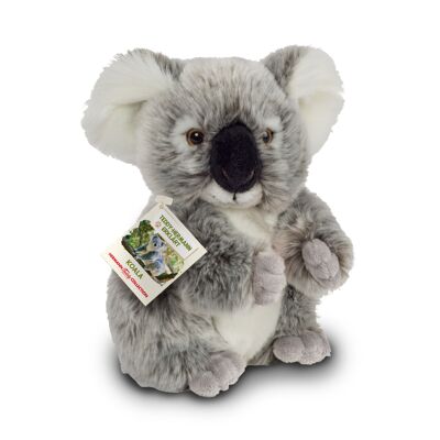 Koala 21 cm - plush toy - soft toy