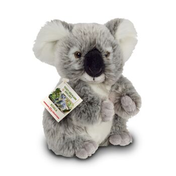 Koala 21 cm - peluche - peluche 6
