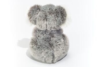 Koala 21 cm - peluche - peluche 10