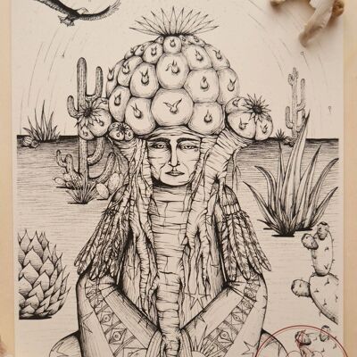 Art Print, Desert Flowering, Peyote, Peyotl