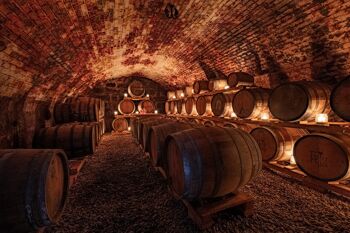 Brennfactum Bergfried 1233 - Whisky de grain 4