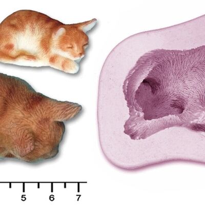 GATOS Y GATITOS Gato #1, 2, 3, gato de pie, Sleepy Cat, Sleepy Kitten - Sleepy Cat