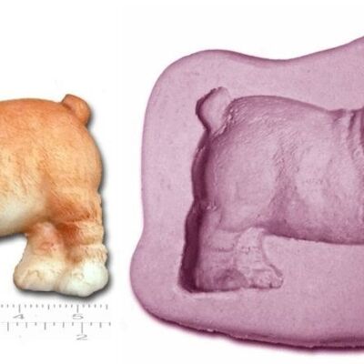 CHIEN SHARPEI CHIOT