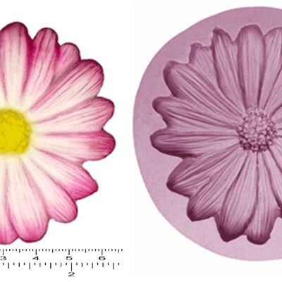 DAISIES x 3 Small, Large, Extra Large & Cupcake Topper .50 - Extra Large