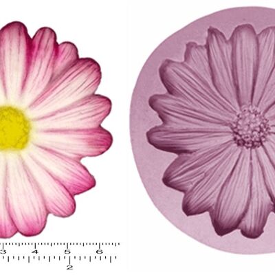 Marguerites x 3 Petit, Grand, Extra Large et Cupcake Topper .50 - Extra Large