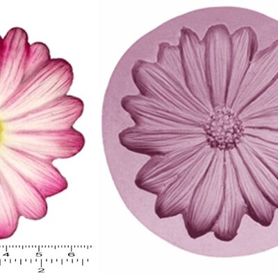 DAISIES x 3 Small, Large, Extra Large & Cupcake Topper .50 - Extra Large