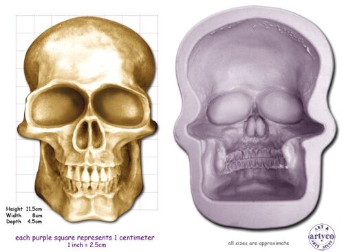 SKULL Medium, Large or Extra Large from - Large