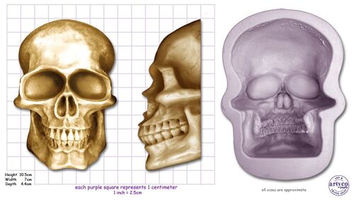 SKULL Medium, Large or Extra Large from - Extra Large