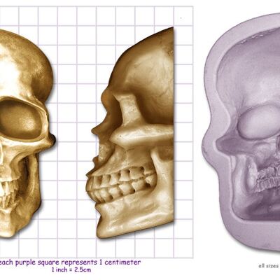 SKULL Medium, Large or Extra Large from - Extra Large