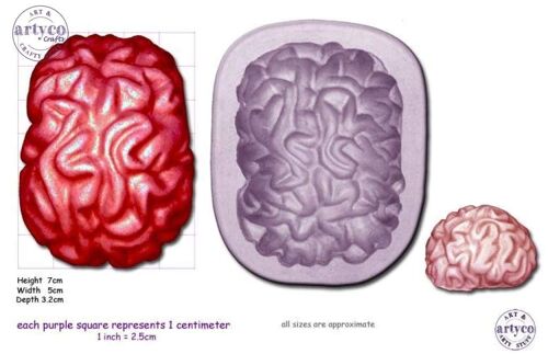 BRAIN medium or small  - Large