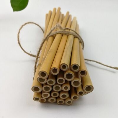 Granel: Pajitas de bambú - 20 cm - Diámetros variables