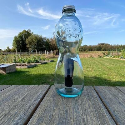 Caraffa per acqua naturale - 1 carbone di legna Woody Binchotan incluso