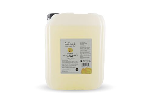 Citrus Multi-surface Spray 20 litre