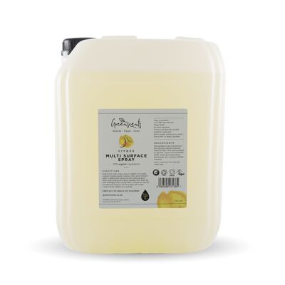 Citrus Multi-surface Spray 20 litre