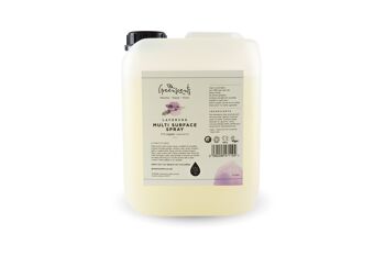 Spray Multi-surfaces Lavande 5 litres