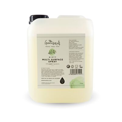 Spray multi-surfaces Menthe 5 litres