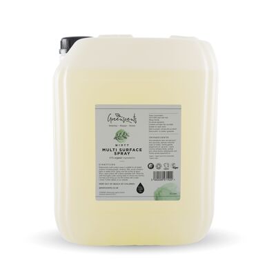 Spray multi-surfaces Menthe 20 litres