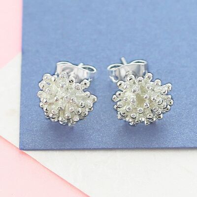 Dandelion Silver Stud Earrings - Stud Earrings & Pendant Set