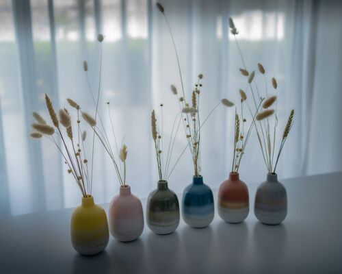 Set of 6 - Mojave vases with dried flowers