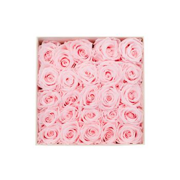 Roses roses préservées dans une boîte cadeau blanche 2