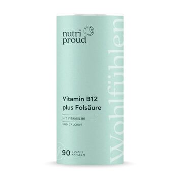 Vitamine B12 avec acide folique + B6 + calcium 1