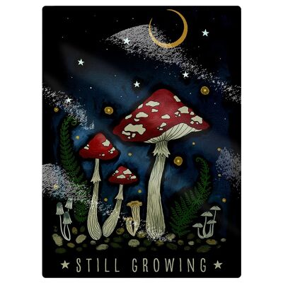 Les champignons magiques poussent toujours sur une petite planche à découper rectangulaire