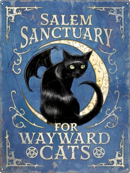 Salem Sanctuary For Wayward Cats Large Tin Sign