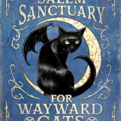 Großes Blechschild „Salem Sanctuary For Wayward Cats“.