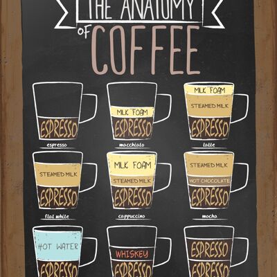 La anatomía del café