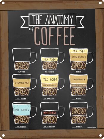 L'anatomie du café